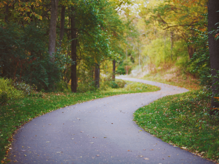 A dark asphalt path curving through a green, wooded area.