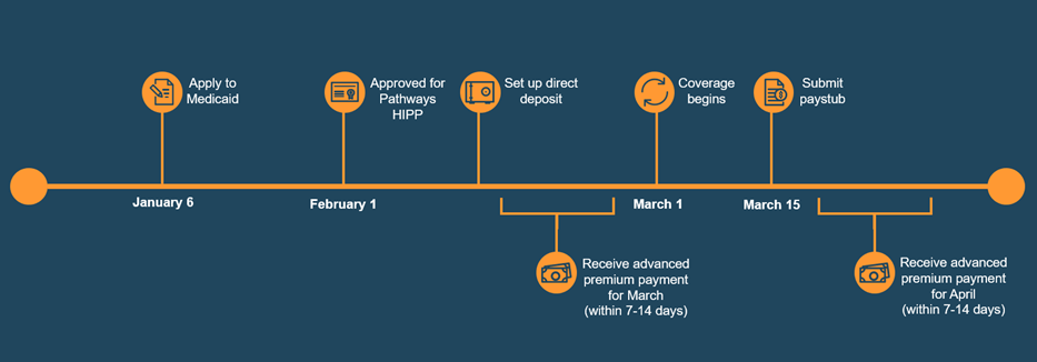 An overview of the HIPP application process.